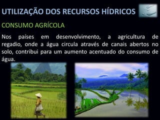 UTILIZAÇÃO DOS RECURSOS HÍDRICOS
CONSUMO AGRÍCOLA
Nos países em desenvolvimento, a agricultura de
regadio, onde a água circula através de canais abertos no
solo, contribui para um aumento acentuado do consumo de
água.
 