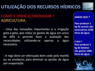 UTILIZAÇÃO DOS RECURSOS HÍDRICOS
COMO E ONDE ECONOMIZAR ?                             SABIAS QUE ?
AGRICULTURA:
                                                     Para produzir 1
                                                     kg de cereais são
 - Uma das inovações importantes é a irrigação       necessários 1500
 gota a gota, que reduz os gastos de água em cerca   litros de água.
 de 60% e permite fazer a avaliação das
 necessidades utilizando-se apenas a água            E QUE ?
 necessária.                                         Para produzir 1
                                                     kg de batatas
                                                     são gastos 1000
                                                     litros de água.
 - A rega deve ser efectuada bem cedo pela manhã
 ou ao anoitecer, para diminuir as perdas de água
 por evaporação.
 