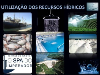 UTILIZAÇÃO DOS RECURSOS HÍDRICOS

    Vias de                  Agricultura e
                Doméstico
  comunicação                Pecuária


                              Matéria-
   Alimento     Recreativo
                               prima


  Medicinal      Energia
 