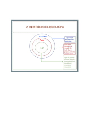 A especificidade da ação humana
Acontecer
Fazer
Agir
 