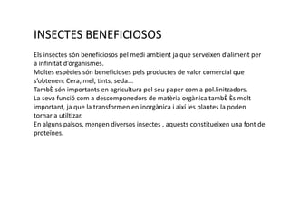 INSECTES BENEFICIOSOS
Els insectes són beneficiosos pel medi ambient ja que serveixen d’aliment per
a infinitat d’organismes.
Moltes espècies són beneficioses pels productes de valor comercial que
s’obtenen: Cera, mel, tints, seda...
També són importants en agricultura pel seu paper com a pol.linitzadors.
La seva funció com a descomponedors de matèria orgànica també és molt
important, ja que la transformen en inorgànica i així les plantes la poden
tornar a utiltizar.
En alguns països, mengen diversos insectes , aquests constitueixen una font de
proteïnes.
 