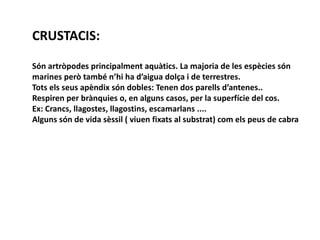CRUSTACIS:

Són artròpodes principalment aquàtics. La majoria de les espècies són
marines però també n’hi ha d’aigua dolça i de terrestres.
Tots els seus apèndix són dobles: Tenen dos parells d’antenes..
Respiren per brànquies o, en alguns casos, per la superfície del cos.
Ex: Crancs, llagostes, llagostins, escamarlans ....
Alguns són de vida sèssil ( viuen fixats al substrat) com els peus de cabra
 