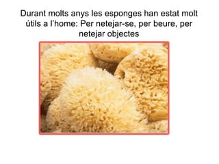 Durant molts anys les esponges han estat molt
 útils a l’home: Per netejar-se, per beure, per
                netejar objectes
 