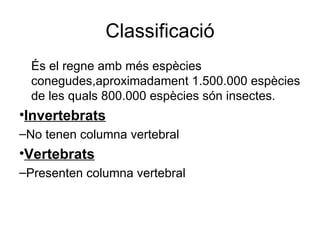 Classificació
  És el regne amb més espècies
  conegudes,aproximadament 1.500.000 espècies
  de les quals 800.000 espècies són insectes.
•Invertebrats
–No tenen columna vertebral
•Vertebrats
–Presenten columna vertebral
 