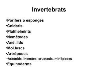 Invertebrats
•Porífers o esponges
•Cnidaris
•Platihelmints
•Nemàtodes
•Anèl.lids
•Mol.luscs
•Artròpodes
–Aràcnids, insectes, crustacis, miriàpodes
•Equinoderms
 
