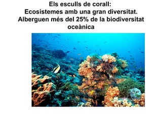 Els esculls de corall:
  Ecosistemes amb una gran diversitat.
Alberguen més del 25% de la biodiversitat
                oceànica
 