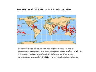 LOCALITZACIÓ DELS ESCULLS DE CORALL AL MÓN




Els esculls de corall es troben majoritàriament a les zones
temperades i tropicals, a la zona compresa entre 30�N i 30�S de
l ‘Ecuador. Creixen a profunditats inferiors als 30m a una
temperatura entre els 16-32�C i amb nivells de llum elevats.
 