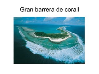 Gran barrera de corall
 