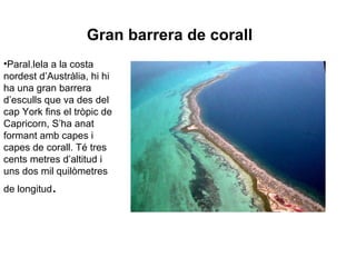 Gran barrera de corall
•Paral.lela a la costa
nordest d’Austràlia, hi hi
ha una gran barrera
d’esculls que va des del
cap York fins el tròpic de
Capricorn, S’ha anat
formant amb capes i
capes de corall. Té tres
cents metres d’altitud i
uns dos mil quilòmetres
de longitud   .
 