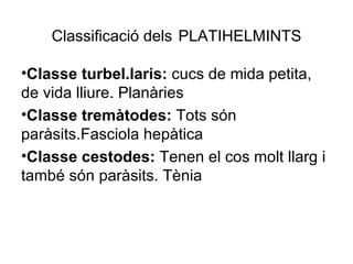 Classificació dels PLATIHELMINTS

•Classe turbel.laris: cucs de mida petita,
de vida lliure. Planàries
•Classe tremàtodes: Tots són
paràsits.Fasciola hepàtica
•Classe cestodes: Tenen el cos molt llarg i
també són paràsits. Tènia
 