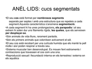 ANÈL·LIDS: cucs segmentats
•El seu cos està format per nombrosos segments
   separats per septes i amb una estructura que es repeteix a cada
   segment.Aquesta característica s’anomena segmentació.
•A cada segment hi ha unes prolongacions, els parapodis i al seu
extrem hi solen dur uns filaments rígids, les quetes, que els serveixen
per desplaçar-se.
•Són animals de vida lliure, rarament paràsits.
•Són els primers animals que colonitzen activament el sòl.
•El seu cos està recobert per una cutícula humida que els manté la pell
molla i així poden respirar a través seu.
•Sistema muscular ben desenvolupat. Es mouen fent estiraments i
contraccions que travessen el cos com una ona.
•Reproducció sexual i fecundació interna en els terrestres i externa en
els aquàtics
 