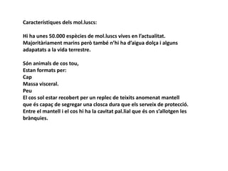 Característiques dels mol.luscs:

Hi ha unes 50.000 espècies de mol.luscs vives en l’actualitat.
Majoritàriament marins però també n’hi ha d’aigua dolça i alguns
adapatats a la vida terrestre.

Són animals de cos tou,
Estan formats per:
Cap
Massa visceral.
Peu
El cos sol estar recobert per un replec de teixits anomenat mantell
que és capaç de segregar una closca dura que els serveix de protecció.
Entre el mantell i el cos hi ha la cavitat pal.lial que és on s’allotgen les
brànquies.
 