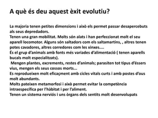 A què és deu aquest èxit evolutiu?

La majoria tenen petites dimensions i això els permet passar desapercebuts
als seus depredadors.
Tenen una gran mobilitat. Molts són alats i han perfeccionat molt el seu
aparell locomotor. Alguns són saltadors com els saltamartins, , altres tenen
potes cavadores, altres corredores com les xinxes....
És el grup d’animals amb fonts més variades d’alimentació ( tenen aparells
bucals molt especialitzats).
 Mengen plantes, excrements, restes d’animals; parasiten tot tipus d’éssers
vius, mengen els seus cossos morts...
Es reprodueixen molt eficaçment amb cicles vitals curts i amb postes d’ous
molt abundants.
Molts pateixen metamorfosi i això permet evitar la competència
intraespecífica per l’hàbitat i per l’aliment.
Tenen un sistema nerviós i uns òrgans dels sentits molt desenvolupats
 