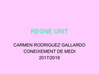 REGNE UNIT
CARMEN RODRIGUEZ GALLARDO
CONEIXEMENT DE MEDI
2017/2018
 