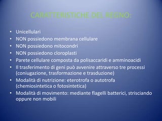 CARATTERISTICHE DEL REGNO:
• Unicellulari
• NON possiedono membrana cellulare
• NON possiedono mitocondri
• NON possiedono cloroplasti
• Parete cellulare composta da polisaccaridi e amminoacidi
• Il trasferimento di geni può avvenire attraverso tre processi
  (coniugazione, trasformazione e trasduzione)
• Modalità di nutrizione: eterotrofa o autotrofa
  (chemiosintetica o fotosintetica)
• Modalità di movimento: mediante flagelli batterici, strisciando
  oppure non mobili
 