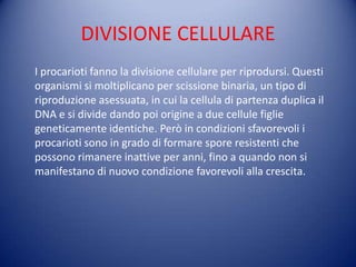 DIVISIONE CELLULARE
I procarioti fanno la divisione cellulare per riprodursi. Questi
organismi si moltiplicano per scissione binaria, un tipo di
riproduzione asessuata, in cui la cellula di partenza duplica il
DNA e si divide dando poi origine a due cellule figlie
geneticamente identiche. Però in condizioni sfavorevoli i
procarioti sono in grado di formare spore resistenti che
possono rimanere inattive per anni, fino a quando non si
manifestano di nuovo condizione favorevoli alla crescita.
 
