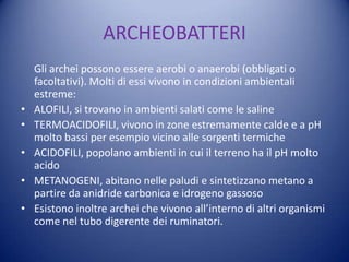 ARCHEOBATTERI
    Gli archei possono essere aerobi o anaerobi (obbligati o
    facoltativi). Molti di essi vivono in condizioni ambientali
    estreme:
•   ALOFILI, si trovano in ambienti salati come le saline
•   TERMOACIDOFILI, vivono in zone estremamente calde e a pH
    molto bassi per esempio vicino alle sorgenti termiche
•   ACIDOFILI, popolano ambienti in cui il terreno ha il pH molto
    acido
•   METANOGENI, abitano nelle paludi e sintetizzano metano a
    partire da anidride carbonica e idrogeno gassoso
•   Esistono inoltre archei che vivono all’interno di altri organismi
    come nel tubo digerente dei ruminatori.
 