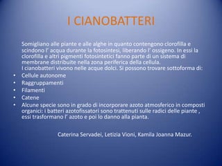 I CIANOBATTERI
    Somigliano alle piante e alle alghe in quanto contengono clorofilla e
    scindono l’ acqua durante la fotosintesi, liberando l’ ossigeno. In essi la
    clorofilla e altri pigmenti fotosintetici fanno parte di un sistema di
    membrane distribuite nella zona periferica della cellula.
    I cianobatteri vivono nelle acque dolci. Si possono trovare sottoforma di:
•   Cellule autonome
•   Raggruppamenti
•   Filamenti
•   Catene
•   Alcune specie sono in grado di incorporare azoto atmosferico in composti
    organici: i batteri azotofissatori sono trattenuti sulle radici delle piante ,
    essi trasformano l’ azoto e poi lo danno alla pianta.

                   Caterina Servadei, Letizia Vioni, Kamila Joanna Mazur.
 