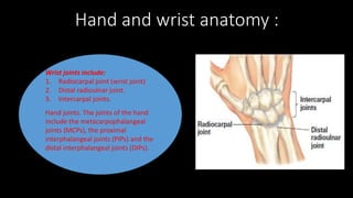 Mpcjs Hand regonal pain (1) (1).pptx.............. | PPTX