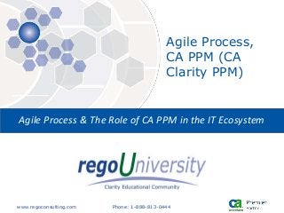 www.regoconsulting.com Phone: 1-888-813-0444
Agile Process & The Role of CA PPM in the IT Ecosystem
Agile Process,
CA PPM (CA
Clarity PPM)
 