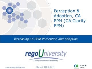 www.regoconsulting.com Phone: 1-888-813-0444
Increasing CA PPM Perception and Adoption
Perception &
Adoption, CA
PPM (CA Clarity
PPM)
 