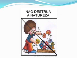 Regras de boa convivência