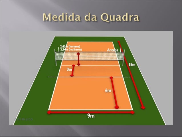 Pontos do voleibol Pontos do voleibol