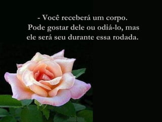 - Você receberá um corpo.  Pode gostar dele ou odiá-lo, mas ele será seu durante essa rodada.  