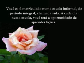 Você está matriculado numa escola informal, de período integral, chamada vida. A cada dia, nessa escola, você terá a oportunidade de aprender lições.  
