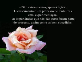 - Não existem erros, apenas lições.  O crescimento é um processo de tentativa e erro: experimentação.  As experiências que não dão certo fazem parte do processo, assim como as bem sucedidas.  