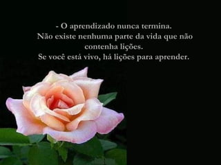 - O aprendizado nunca termina.  Não existe nenhuma parte da vida que não contenha lições.  Se você está vivo, há lições para aprender.  