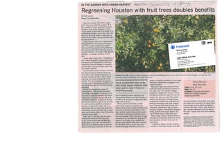 Regreening Houston with fruit trees
