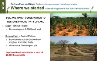 WCA        Burkina Faso and Niger: Scaling-up farmer-managed natural regeneration

           Where we started Special Programme for Sub-Saharan Africa
1



      SOIL AND WATER CONSERVATION TO
       RESTORE PRODUCTIVITY OF LAND
     Niger – Tahoua Region
         Tassas dug over 6.000 ha of land


     Burkina Faso – Central Plateau
         Stone bunds built on 30.000 ha of
          sorghum and millet fields.
         More than 6.000 compost pits


      Improved food security for a total of
      20,000 households
 