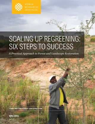 iScaling Up Regreening
WRI.ORG
SCALING UP REGREENING:
SIX STEPS TO SUCCESS
A Practical Approach to Forest and Landscape Restoration
CHRIS REIJ AND ROBERT WINTERBOTTOM
 