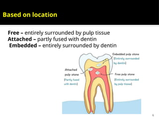 6
Free – entirely surrounded by pulp tissue
Attached – partly fused with dentin
Embedded – entirely surrounded by dentin
Based on location
 