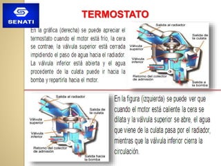 TERMOSTATO
 