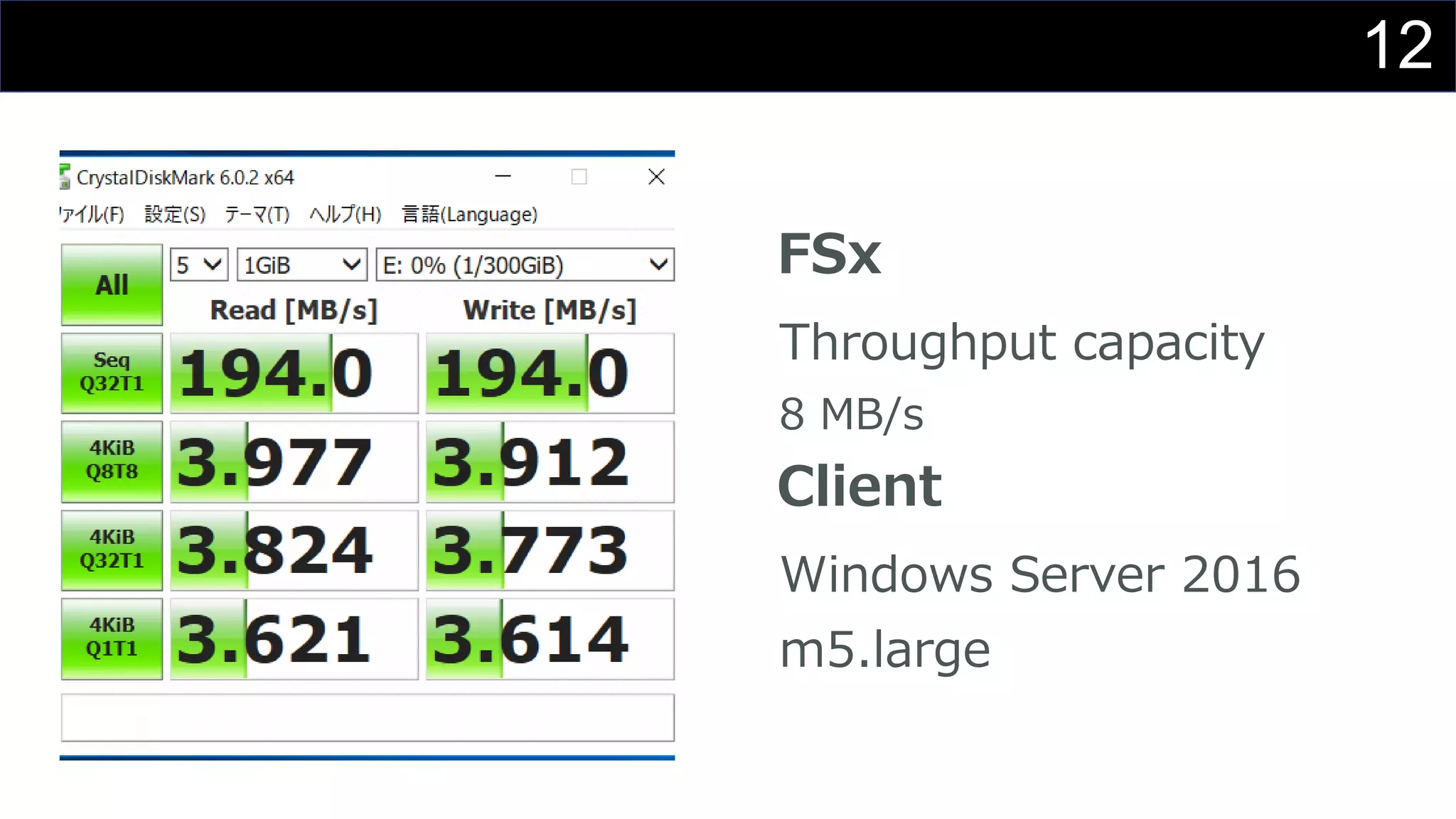 12
FSx
Throughput capacity
8 MB/s
Client
Windows Server 2016
m5.large
 