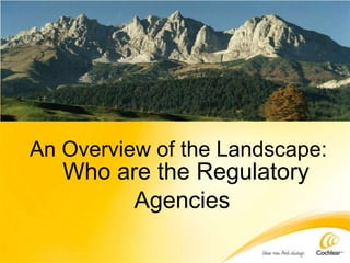 An Overview of the Landscape:
Who are the Regulatory
Agencies
 