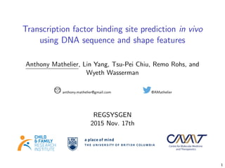 Transcription factor binding site prediction in vivo using DNA sequence ...