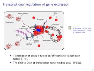 Transcription factor binding site prediction in vivo using DNA sequence ...