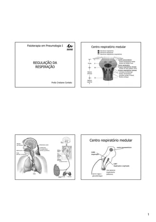 1
Fisioterapia em Pneumologia I
REGULAÇÃO DA
RESPIRAÇÃO
Profa Cristiane Contato
Centro respiratório medular
Centro respiratório medular