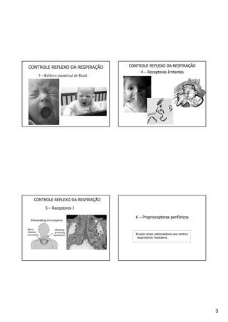 3
CONTROLE REFLEXO DA RESPIRAÇÃO
3 – Reflexo paradoxal de Head
4 – Receptores Irritantes
CONTROLE REFLEXO DA RESPIRAÇÃO
CONTROLE REFLEXO DA RESPIRAÇÃO
5 – Receptores J
6 – Proprioceptores periféricos
Enviam sinais estimuladores aos centros
respiratórios medulares