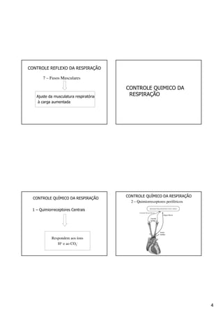 4
7 – Fusos Musculares
CONTROLE REFLEXO DA RESPIRAÇÃO
Ajuste da musculatura respiratória
à carga aumentada
CONTROLE QUIMICO DA
RESPIRAÇÃO
CONTROLE QUÍMICO DA RESPIRAÇÃO
1 – Quimiorreceptores Centrais
Respondem aos íons
H+ e ao CO2
-
2 – Quimiorreceptores periféricos
CONTROLE QUÍMICO DA RESPIRAÇÃO