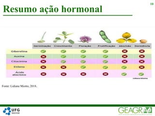 Resumo ação hormonal
10
Fonte: Lidiane Miotto, 2018.
 