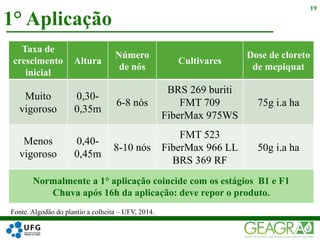 1° Aplicação
19
Taxa de
crescimento
inicial
Altura
Número
de nós
Cultivares
Dose de cloreto
de mepiquat
Muito
vigoroso
0,30-
0,35m
6-8 nós
BRS 269 buriti
FMT 709
FiberMax 975WS
75g i.a ha
Menos
vigoroso
0,40-
0,45m
8-10 nós
FMT 523
FiberMax 966 LL
BRS 369 RF
50g i.a ha
Normalmente a 1° aplicação coincide com os estágios B1 e F1
Chuva após 16h da aplicação: deve repor o produto.
Fonte. Algodão do plantio a colheita – UFV, 2014.
 