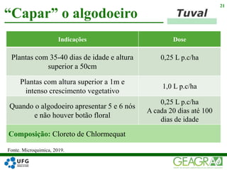 “Capar” o algodoeiro
21
Indicações Dose
Plantas com 35-40 dias de idade e altura
superior a 50cm
0,25 L p.c/ha
Plantas com altura superior a 1m e
intenso crescimento vegetativo
1,0 L p.c/ha
Quando o algodoeiro apresentar 5 e 6 nós
e não houver botão floral
0,25 L p.c/ha
A cada 20 dias até 100
dias de idade
Composição: Cloreto de Chlormequat
Fonte. Microquimica, 2019.
 