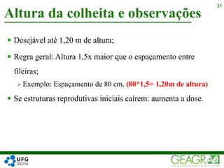  Desejável até 1,20 m de altura;
 Regra geral: Altura 1,5x maior que o espaçamento entre
fileiras;
 Exemplo: Espaçamento de 80 cm. (80*1,5= 1,20m de altura)
 Se estruturas reprodutivas iniciais caírem: aumenta a dose.
Altura da colheita e observações
23
 