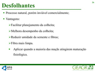  Processo natural, porém inviável comercialmente;
 Vantagens:
Facilitar planejamento da colheita;
Melhora desempenho da colheita;
Reduzir umidade da semente e fibras;
Fibra mais limpa.
 Aplicar quando a maioria das maçãs atingirem maturação
fisiológica.
Desfolhantes
26
 