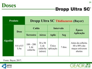 Doses
29
Produto Dropp Ultra SC Thidiazuron (Bayer)
Algodão
Dose
Calda Intervalo
Época
Aplicação
Terrestre Aérea Aplic Seg
0.4 a 0.5
L/ha
100 – 200
L de
calda/ha
30 a 50
L de
calda/ha
(aéreo)
Única
aplicação.
7 dias.
Antes da colheita.
60 a 80% das
maças estiverem
abertas
Fonte: Bayer, 2017.
 