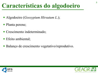  Algodoeiro (Gossypium Hirsutum L.);
 Planta perene;
 Crescimento indeterminado;
 Efeito ambiental;
 Balanço de crescimento vegetativo/reprodutivo.
Características do algodoeiro
3
 